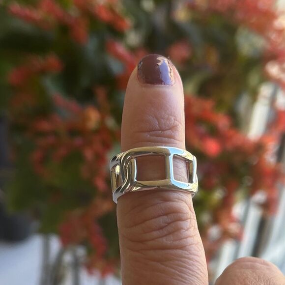 The Double Link Ring in 925 Silver - Picture 5 of 7